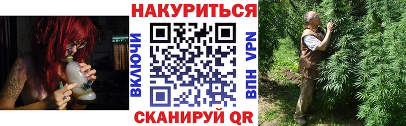 МАРИХУАНА семена Шахты